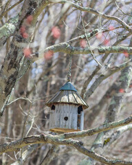 birdhouse hanging in tree
