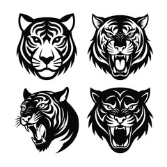 Tiger face vector . Tiger head vector