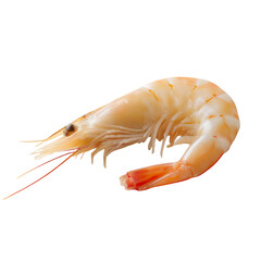 Single cooked prawn isolated fresh seafood ocean food ingredient delicious healthy protein recipe dinner lunch meal