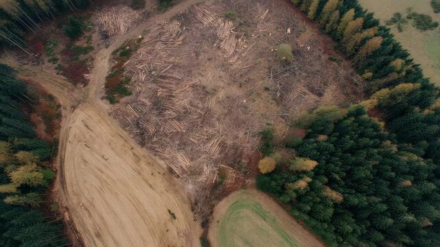 Aerial view of a clear-cut forest area.