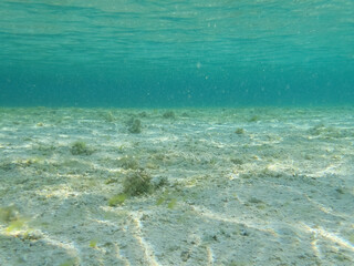 Sunlit Underwater Sand Ripples