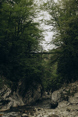 Scenic Devil's Gate Canyon in Sochi, Russia. A wild river flows between dramatic cliffs and lush forest, with a hanging bridge adding a sense of mystery and adventure.