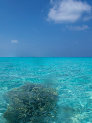 Fototapeta premium Tropical Clear Ocean Blue Sky