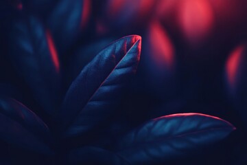 Dark blue and red lit leaves, close-up, blurred background, nature backdrop