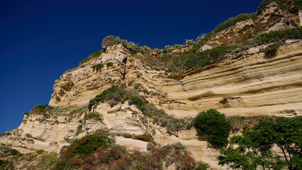 Fototapeta premium Sandstone cliffs showing signs of erosion with vegetation growing on them, under a clear blue sky in Tropea, Italy