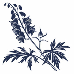black and white monkshood