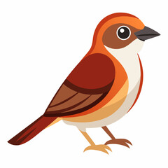 Brown Shrike Vector Illustration on White Background