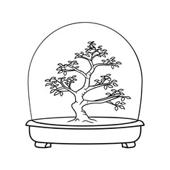 Bonsai tree illustration with clear glass covering depicting zen tranquility and beauty in nature.