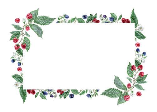 Greeting card template with berries. Great as housewarming invitation, watercolor moving card, culinary menu or label etc.  Cutout on white. 