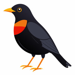 Eurasian Blackbird – Simple Colored Vector on White