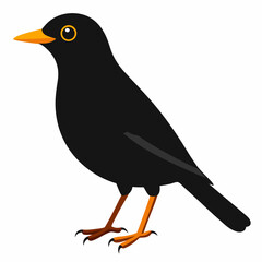 Eurasian Blackbird – Simple Colored Vector on White