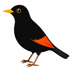 Eurasian Blackbird – Simple Colored Vector on White