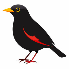 Eurasian Blackbird – Simple Colored Vector on White
