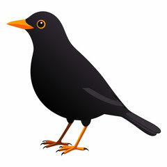 Eurasian Blackbird – Simple Colored Vector on White
