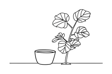 Elegant line art illustration of a fiddle leaf fig plant in a simple potted design © Chaya