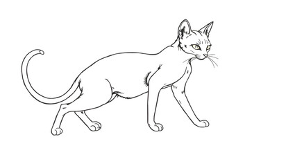 Obraz premium Graceful Cat Stretch Line Art