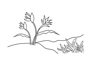 Line art illustration of tropical plants and flowers in a minimalist landscape design