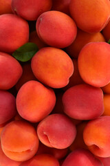 bright food background of ripe apricots closeup