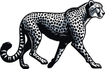 Fototapeta premium A Vector clipart illustration Cheetah