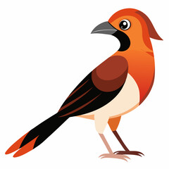 Simple Robin on Branch &ndash; Vector on White