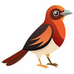 Simple Robin on Branch – Vector on White