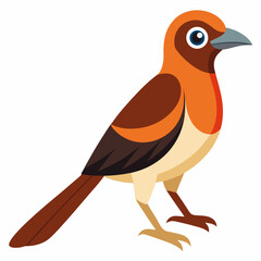 Simple Robin on Branch – Vector on White