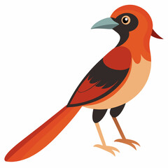 Simple Robin on Branch – Vector on White