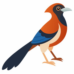 Simple Robin on Branch – Vector on White