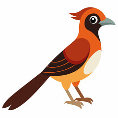 Simple Robin on Branch – Vector on White