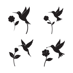 Hummingbird Flying Near Flower Bloom Silhouette