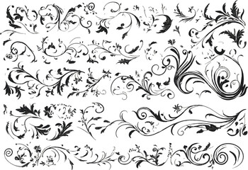 Vector illustration of deferent type leaf design set