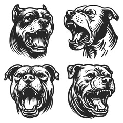 Hand drawn vector black and white pitbull head collection