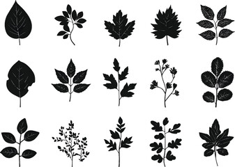 Vector illustration of deferent leaf set