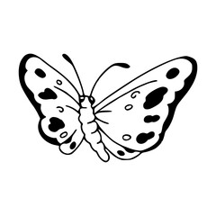 monarch butterfly vector art