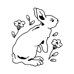 cute bunny with daisy flower vector
