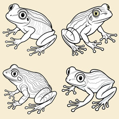 Fototapeta premium Printable Frog Coloring Pages & Vector Illustrations