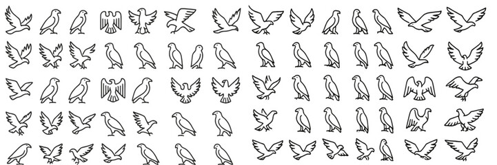 Bird illustrations showcased in various poses and styles, highlighting diversity and creativity in avian designs
