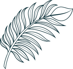 Obraz premium Delicate outline illustration of a single tropical palm leaf in simple vector style