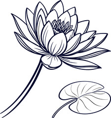 Elegant black and white water lily illustration vector design for botanical floral artistic background