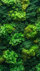 Fototapeta premium Close-up of vibrant green moss covering a weathered wooden surface, showcasing rich natural texture and organic detail. Vertical composition ideal for nature, design, or eco-themed visuals.