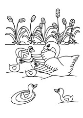 Naklejka premium family swans on lake, coloring book for children