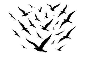 vector silhouettes of birds transparent background 