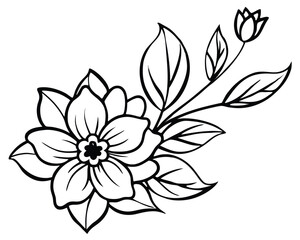 vector illustration of a white flower