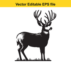Majestic Mule Deer Buck in Black and White Vector Illustration