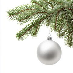 Silver Christmas Ornament on a Branch , isolated on white background png