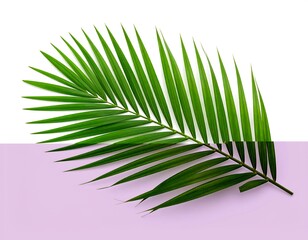 Obraz premium Vibrant palm leaf on a pastel background