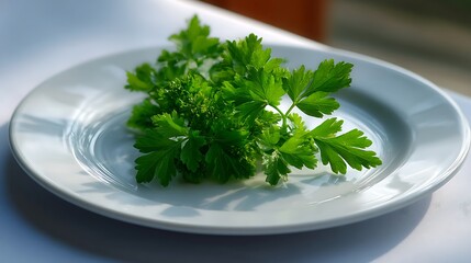 Fresh Parsley Sprig on a White Plate