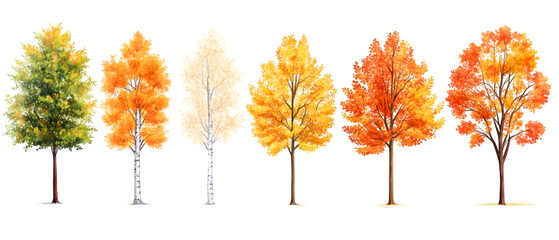 Collection of Seasonal Tree Progression Watercolor Illustration of Autumnal Foliage Changes