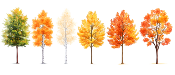 Collection of Seasonal Tree Progression Watercolor Illustration of Autumnal Foliage Changes