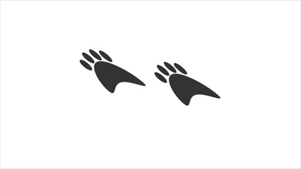 Animal footprints